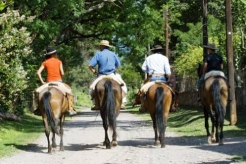 Finca Santa Anita in Coronel Moldes, Argentina