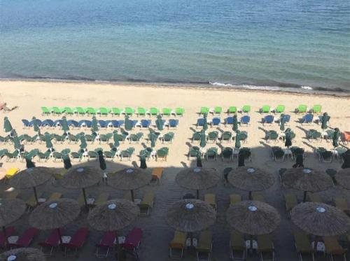 Dion — Paralia — photo 3