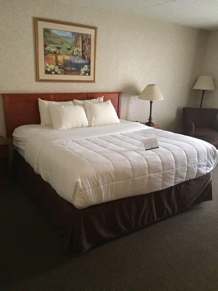 Quality Inn & Suites Albuquerque Midtown University Area - photo 6