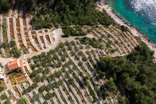 Seaside house for families with children Cove Zanavje Korcula 19224 — 4-Star Luxury Hotel in Blato, Croatia