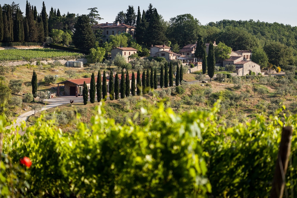 Querceto di Castellina — hotel in Castellina In Chianti