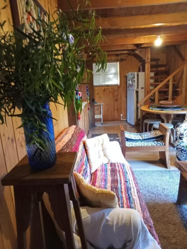 Amazing View Of The Volcano in Pucon, Chile