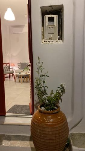 Agioutanti Spot — Kythnos — photo 3