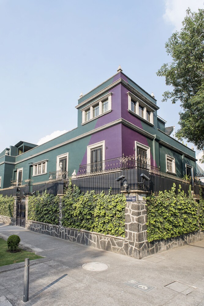 Pug Seal Polanco Anatole France in Mexico City, Mexico