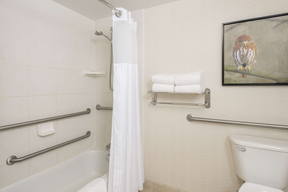 Hilton Garden Inn Scottsdale North Perimeter Center - photo 26