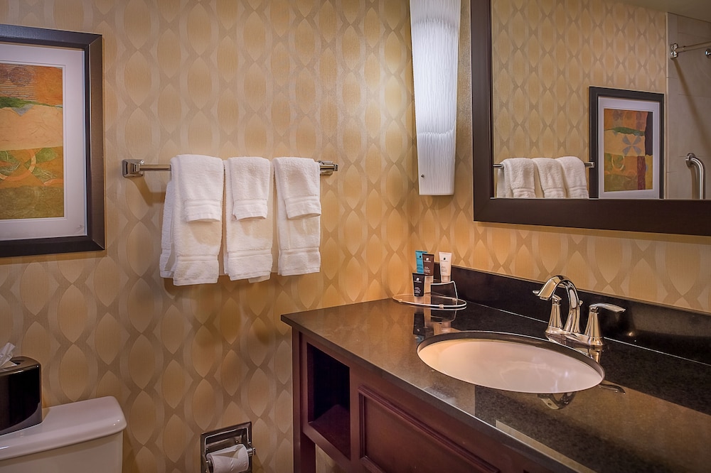 Crowne Plaza St. Louis Airport by IHG - photo 120