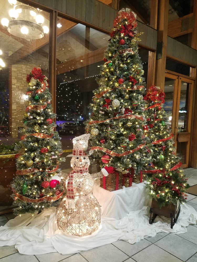 Inn of the Hills Resort and Conference Center - photo 28