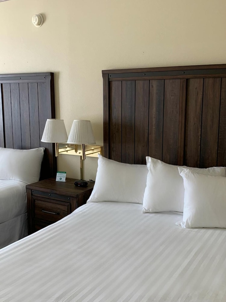 Yellowstone Lodge - photo 10
