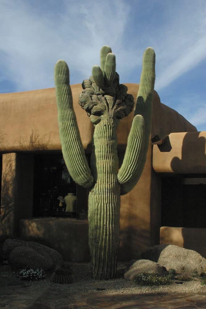 Bposhtels Scottsdale - photo 22