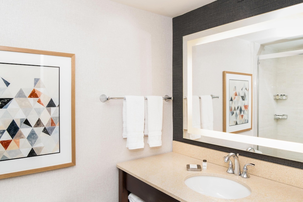 Sheraton Ann Arbor Hotel - photo 38