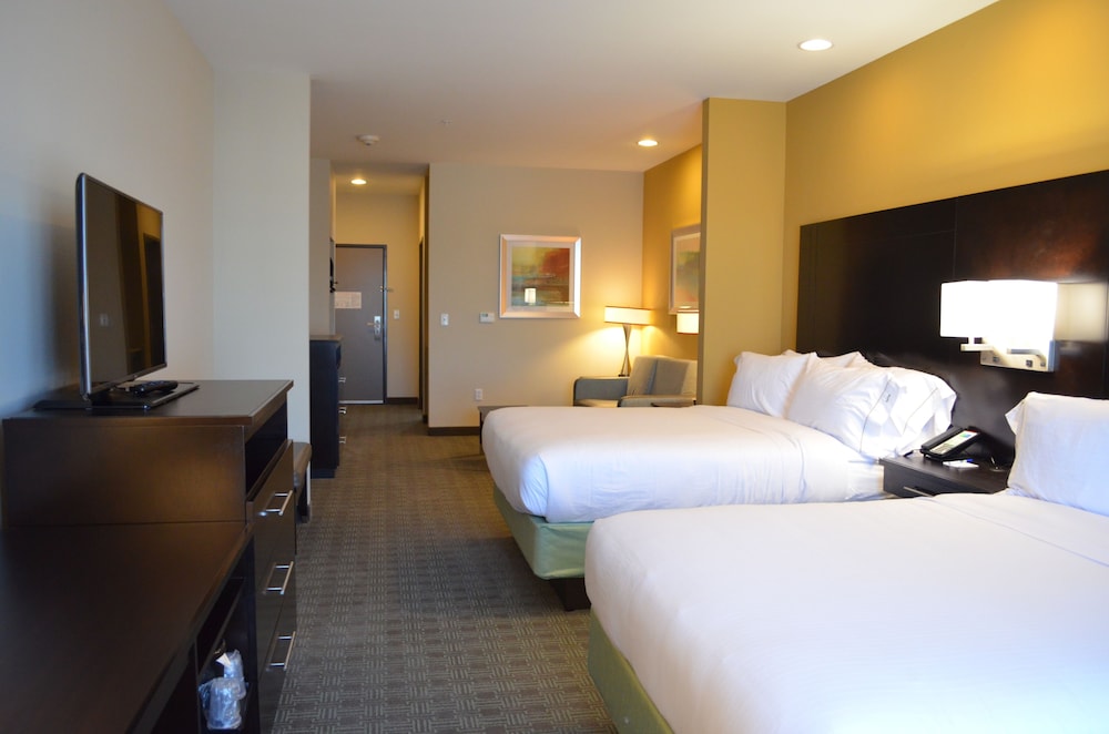 Holiday Inn Express & Suites Austin South by IHG - photo 3