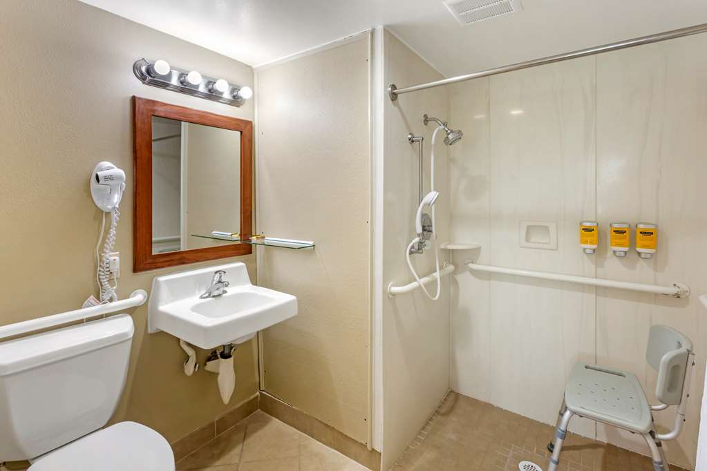 Best Western Plus Burley Inn & Convention Center - photo 20