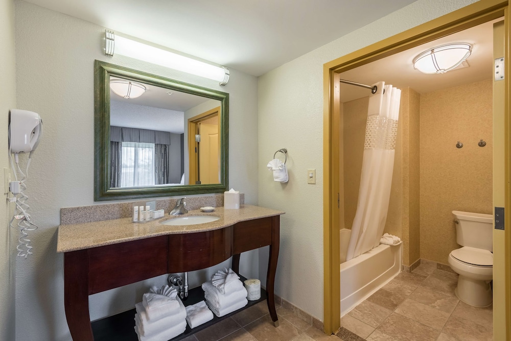 Hampton Inn & Suites Orlando South Lake Buena Vista - photo 31
