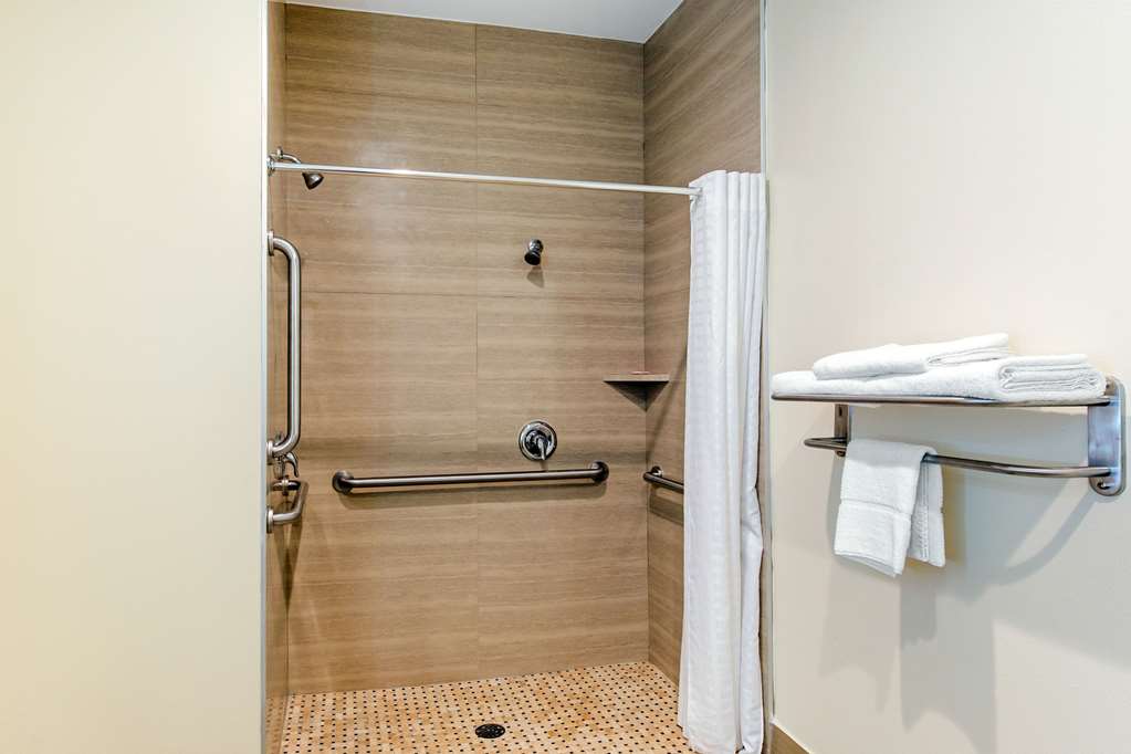 Econo Lodge Inn & Suites Houston Willowbrook - photo 25