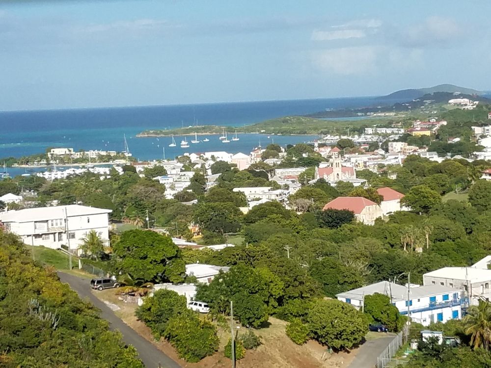 The View — Saint Croix — photo 5