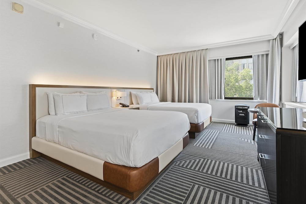Capital Hilton - photo 15