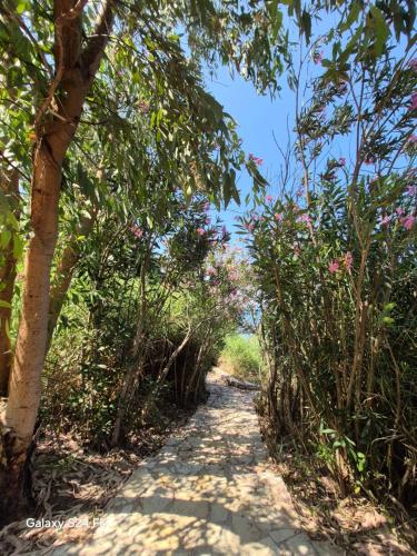 Tritsili house — Koroni — photo 3