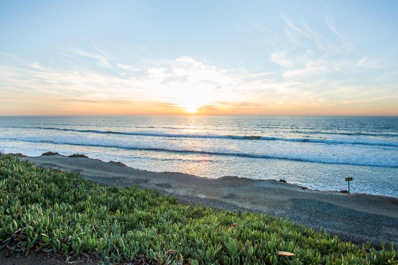 Hotel Indigo San Diego Del Mar by IHG - photo 6