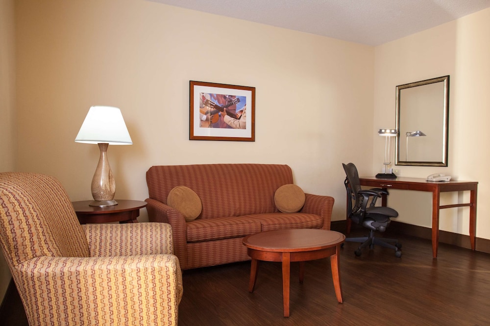 Hilton Garden Inn El Paso University - photo 8