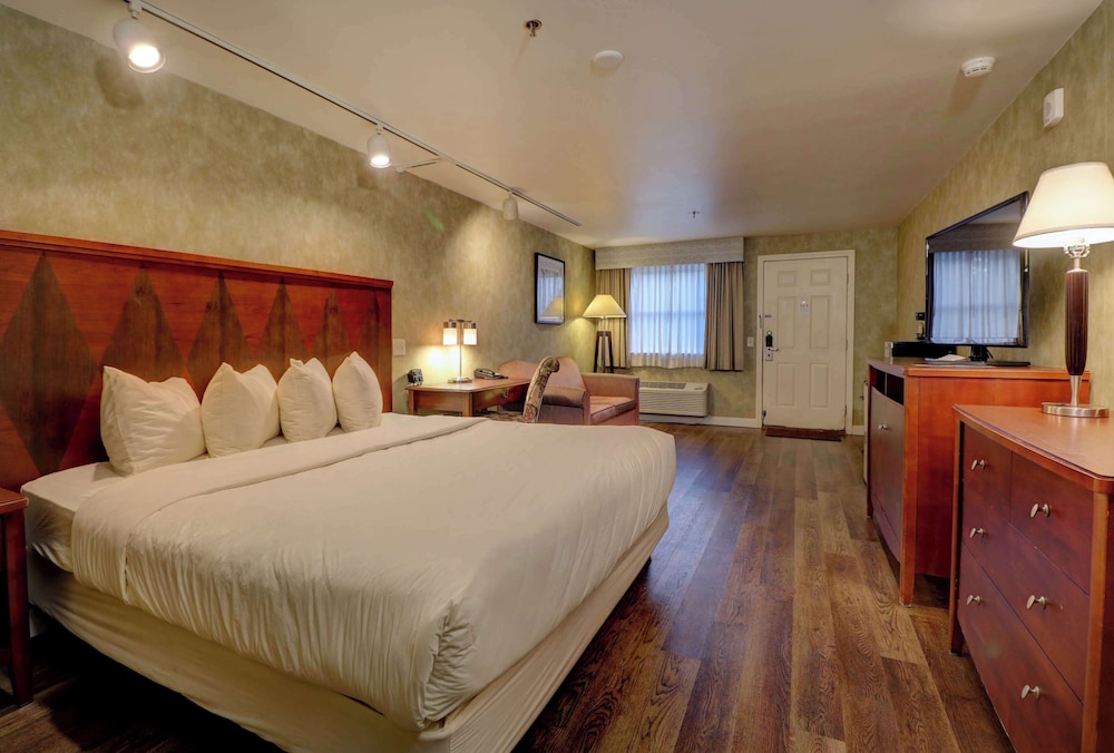Senator Inn & Spa - photo 47