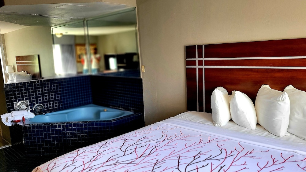 Rancho San Diego Inn and Suites - photo 6