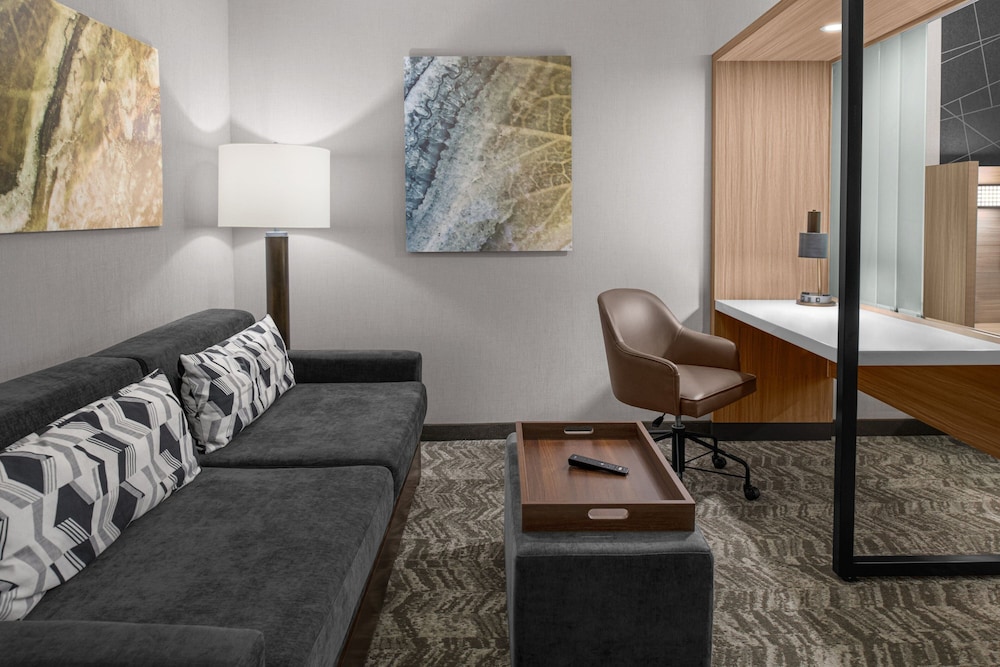 SpringHill Suites by Marriott Riverside Redlands - photo 10