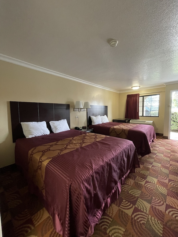 Chino Motel - photo 14