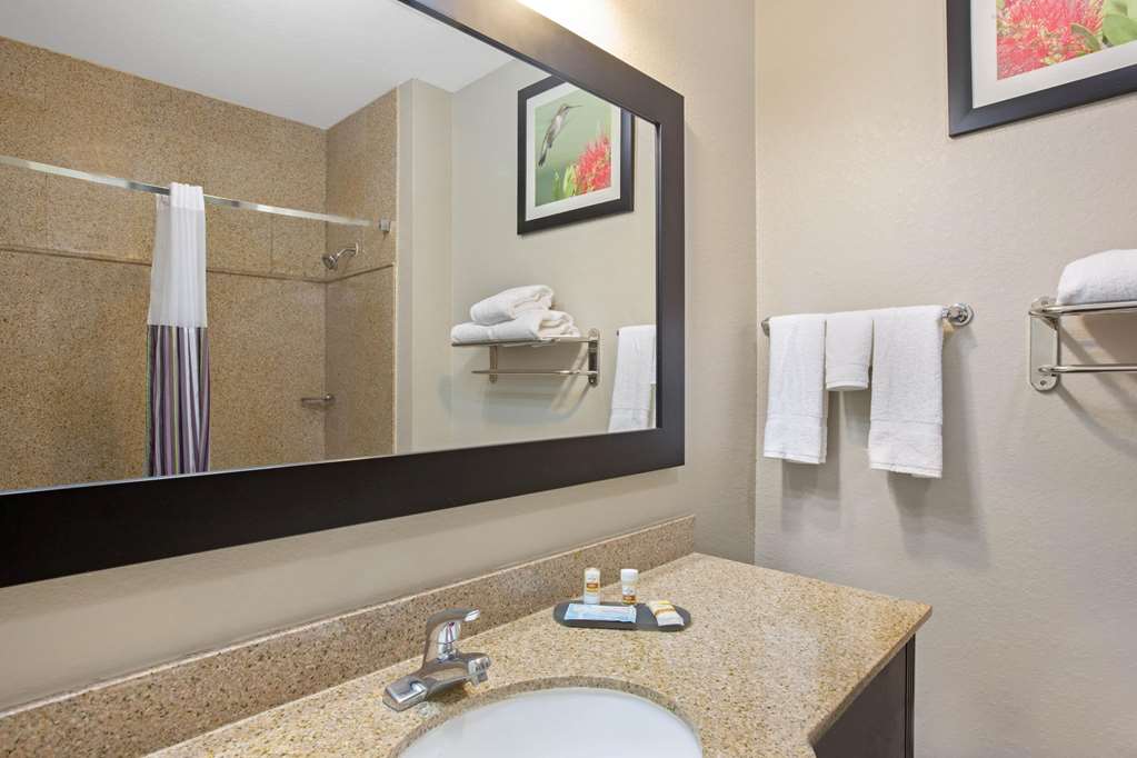 La Quinta Inn & Suites by Wyndham Pearland Houston South - photo 26