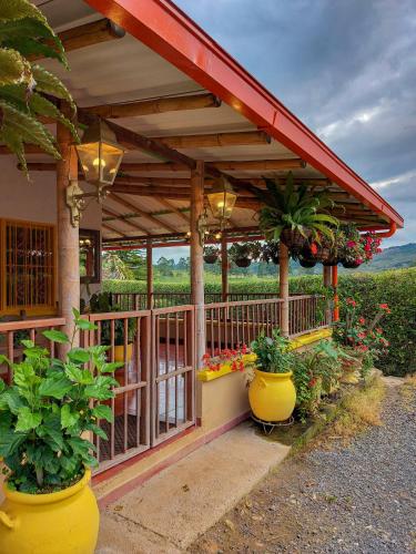 Finca Hotel Don Julio in Santa Rosa De Cabal, Colombia