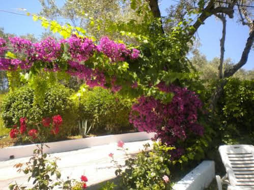 Siraina's Studios - carbon neutral hotel in Skiathos