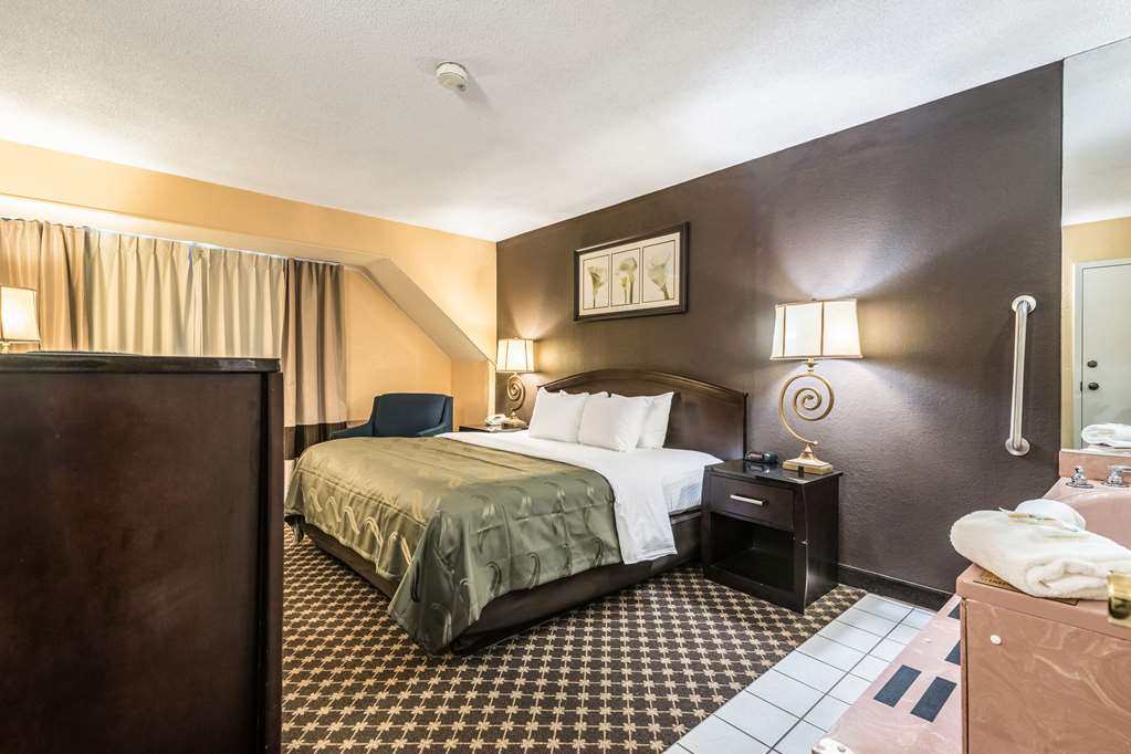 Quality Inn Ithaca University Area - photo 23