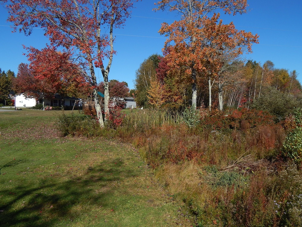 Acadia Sunrise Motel - photo 19