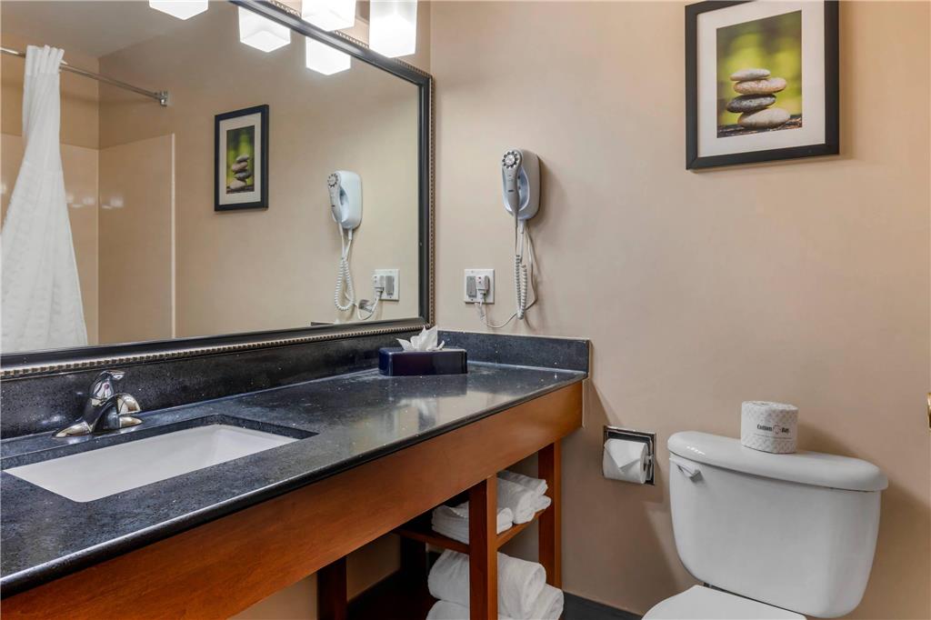 Comfort Suites North Dallas - photo 27