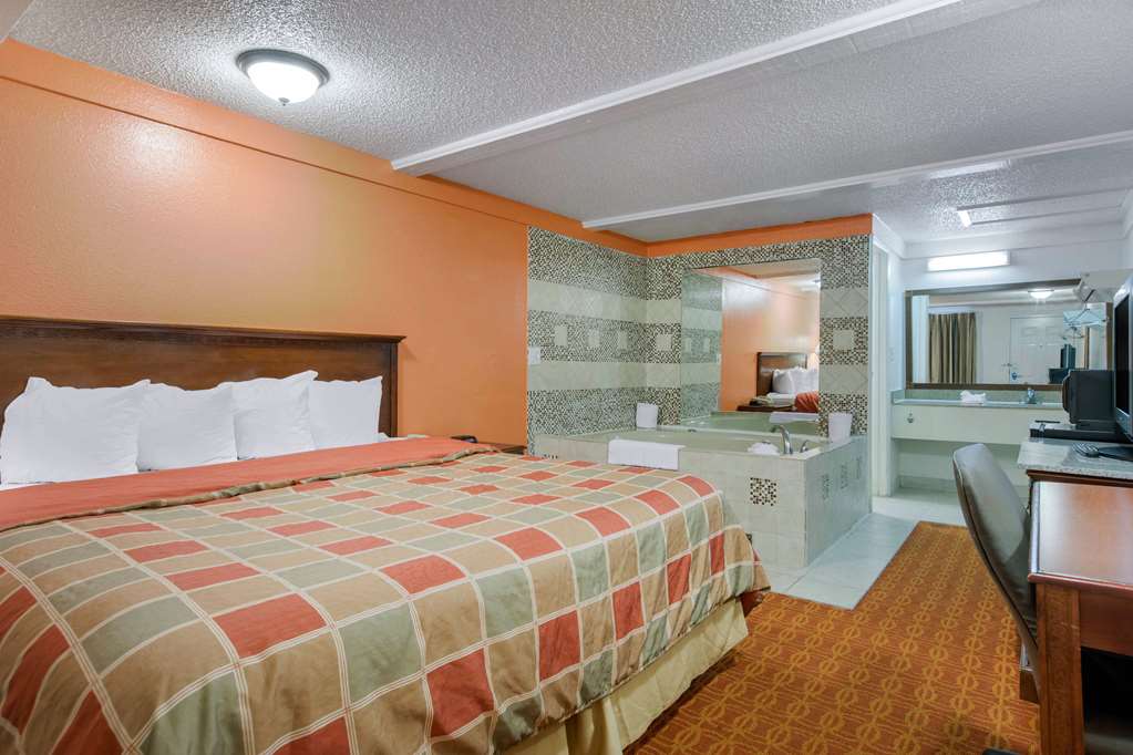 Rodeway Inn Auburn Hills Detroit - photo 18