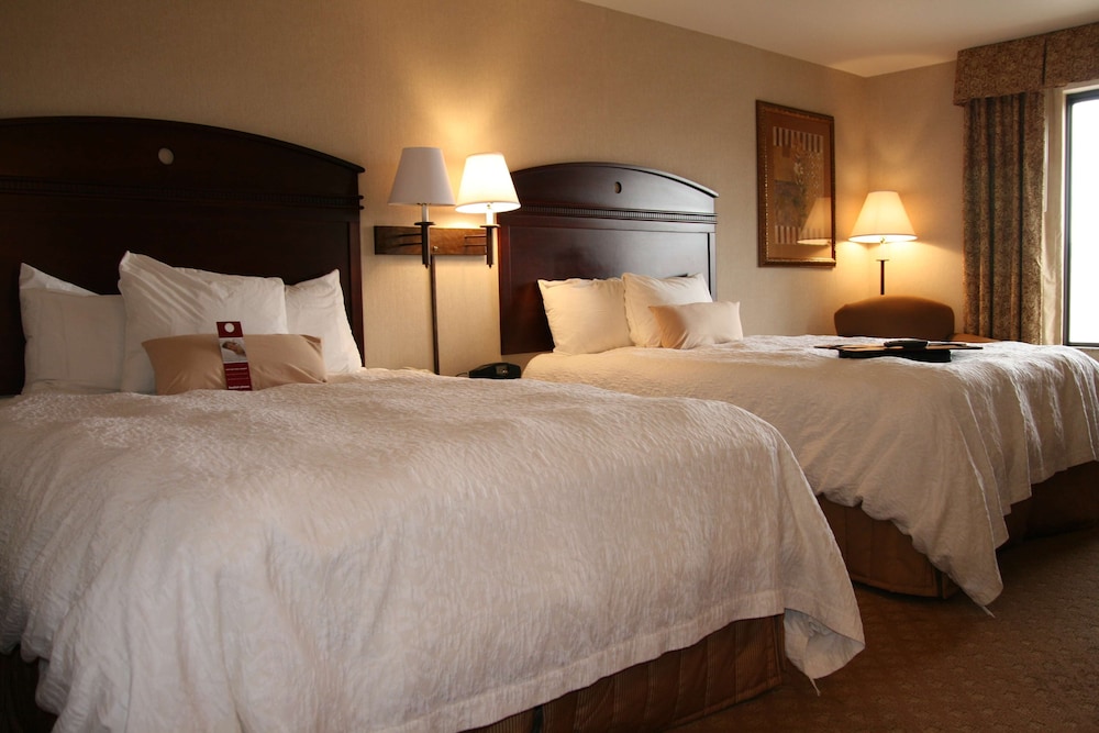 Hampton Inn & Suites Gallup - photo 4