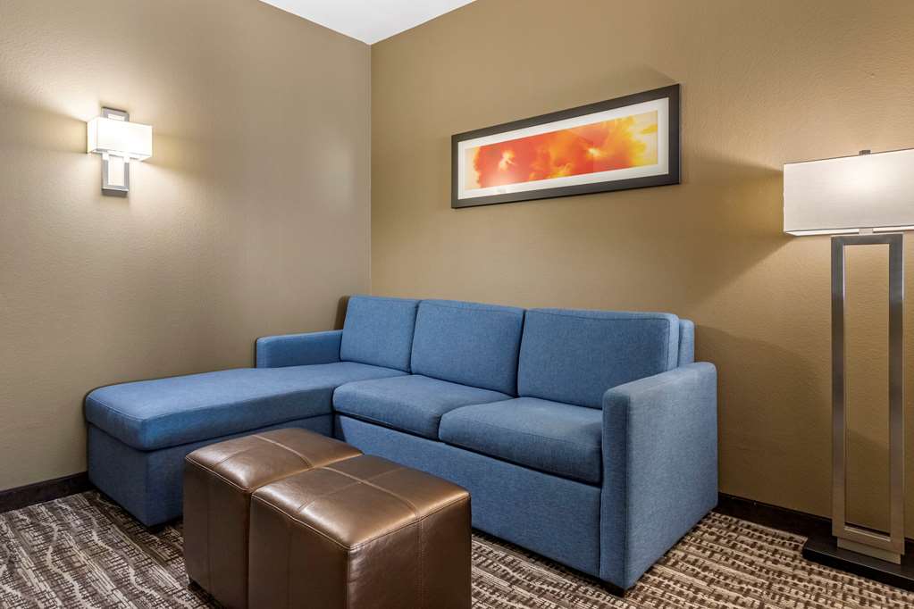 Comfort Suites Near Sam Houston Race Park - photo 8