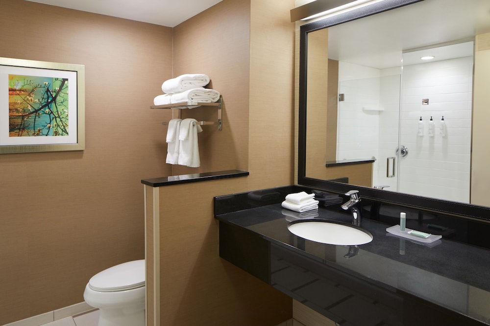 Fairfield Inn & Suites Atlanta Lithia Springs - photo 17