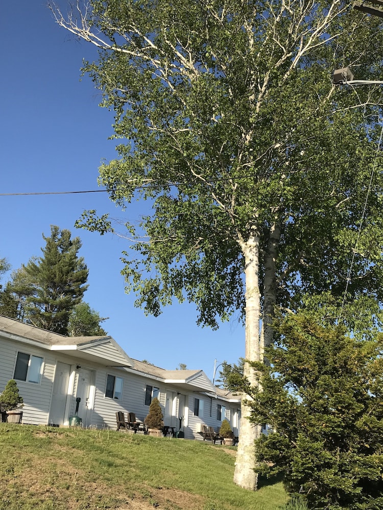White Birches Motel - photo 99