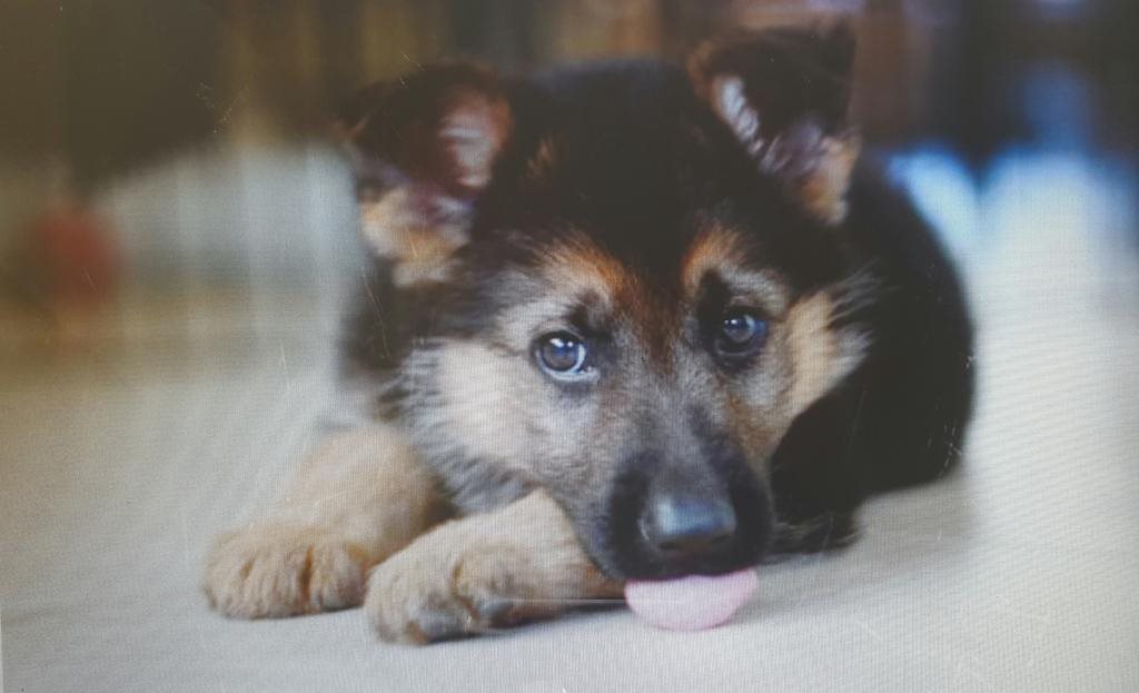 hotelF1 Quimper in Quimper, France