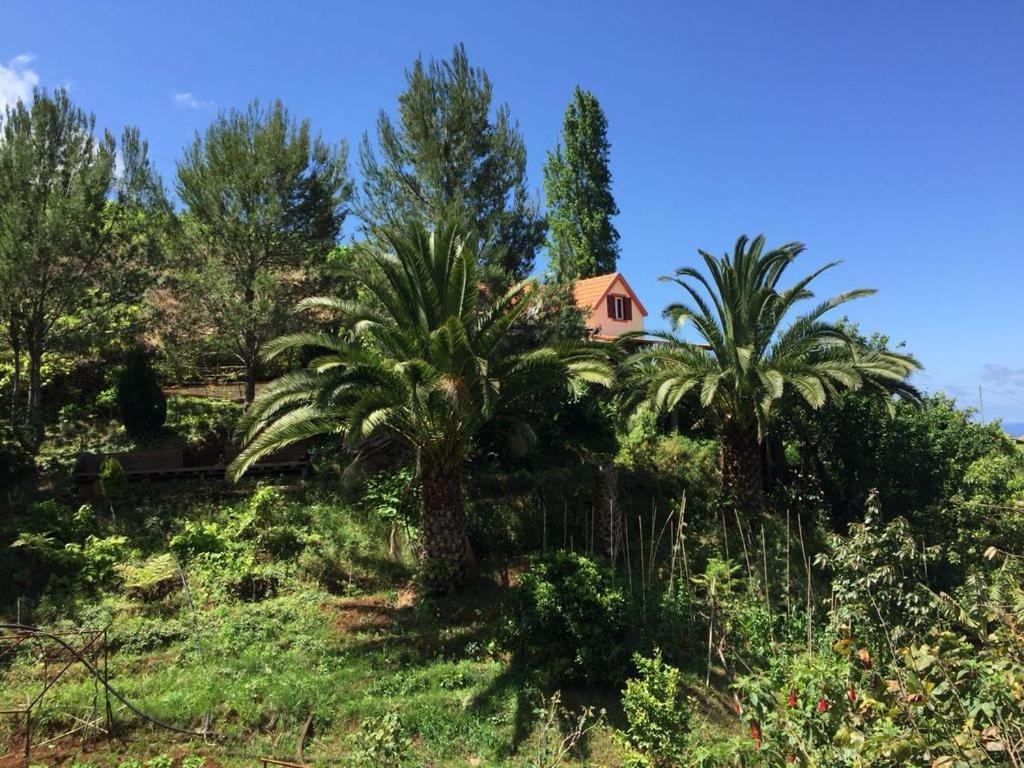 Casa D'olivia — 4-Star Luxury Hotel in Machico, Portugal