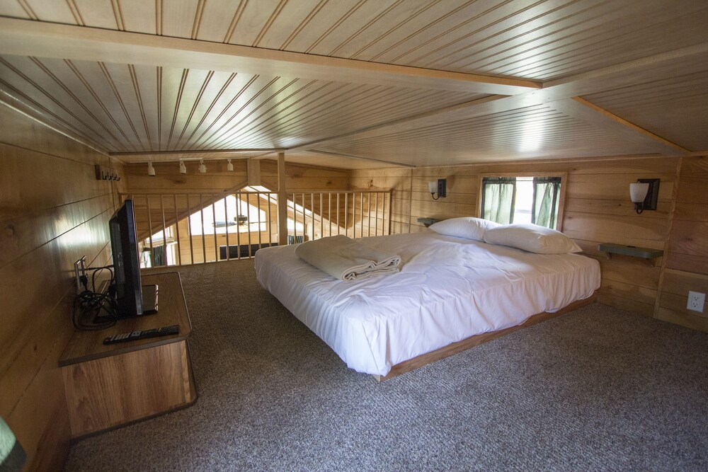 Richmond North Kings Dominion KOA - photo 7