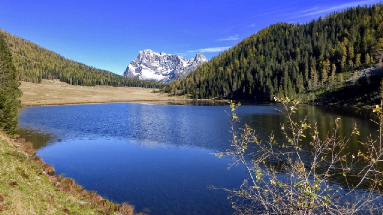 Appartamento Vanoi Nel Cuore Verde Del Trentino — 4-Star Luxury Hotel in Canal San Bovo, Italy