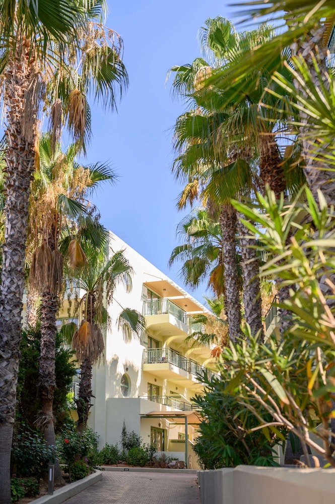 שטחי חוץ / גן