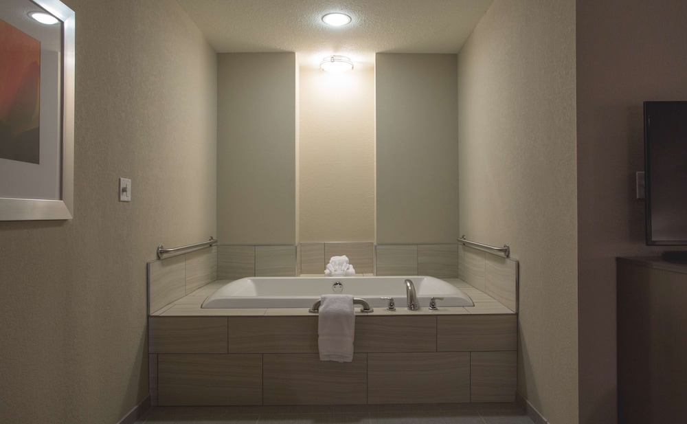 Hilton Garden Inn Bolingbrook I 55 - photo 15