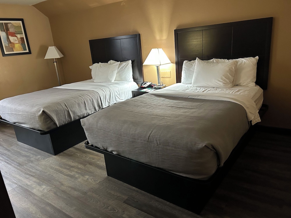 Quality Inn & Suites Cincinnati Uptown Norwood - photo 23