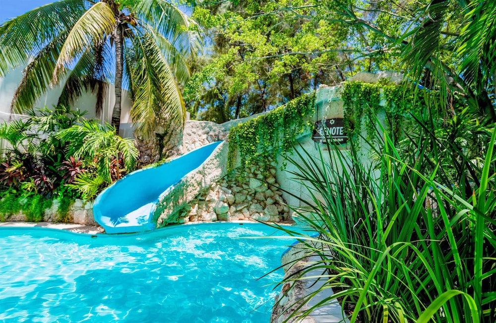 Oasis Palm All Inclusive