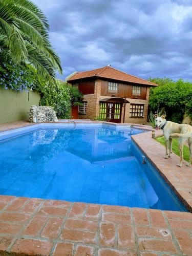 Duplex El Duende in Olavarria, Argentina