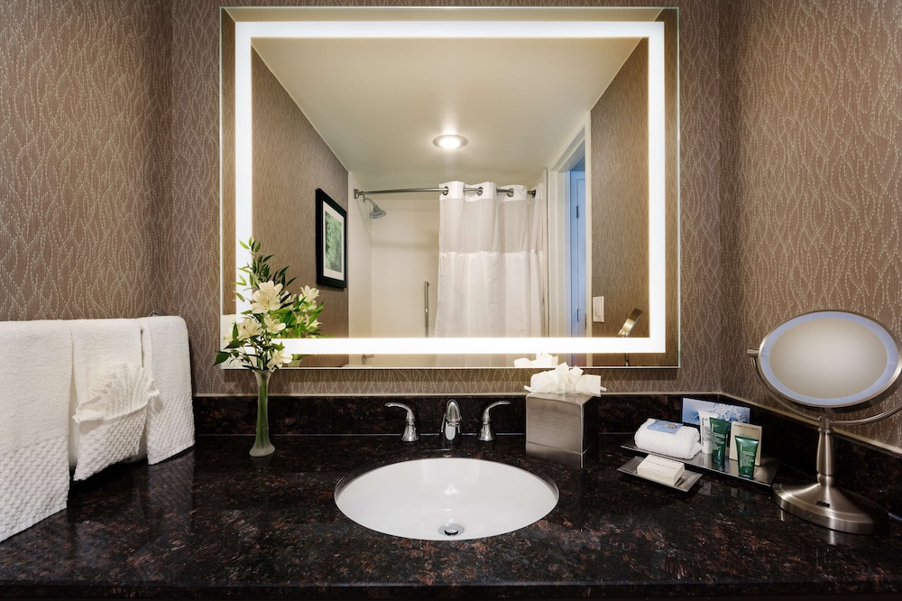Hilton Cincinnati Airport - photo 19