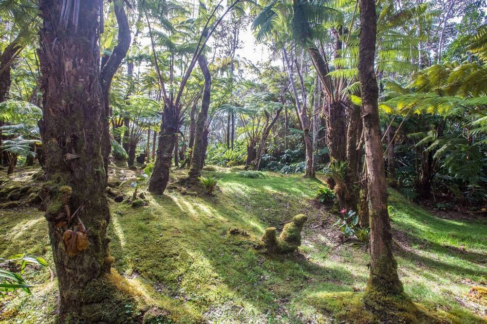 Hale Mauna Loa Upper 11 3910 3rd St - photo 18