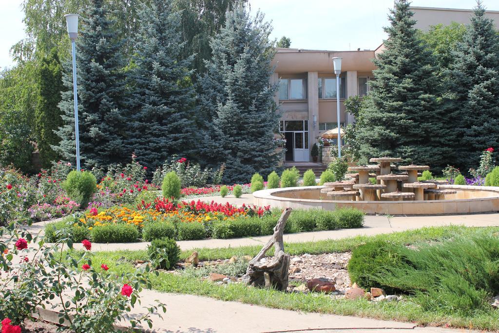 Bereg — Balakovo — photo 2